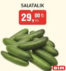 SALATALIK KG